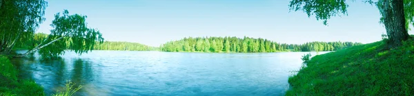 Panorama jeziora z drewnem — Zdjęcie stockowe