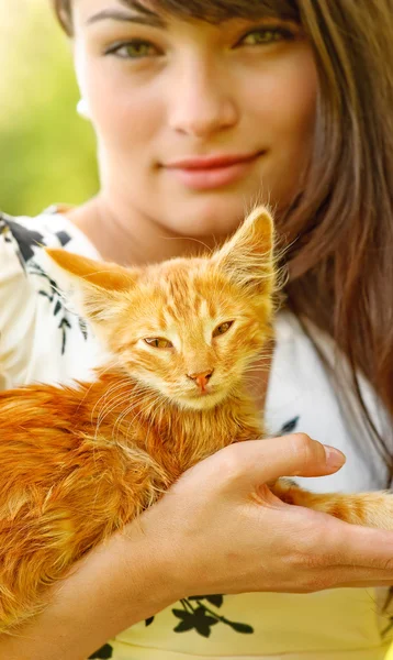Котенок на руках у девочки — стоковое фото