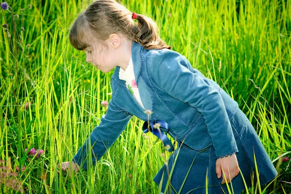 Girl among green grass — Stock Photo, Image