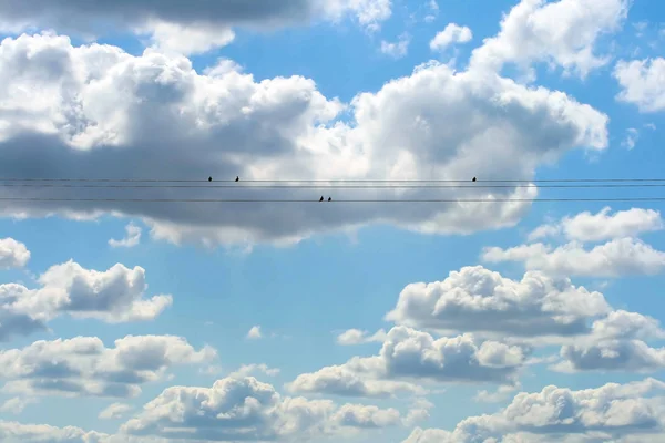 Kuşlar ve bulutlar — Stok fotoğraf