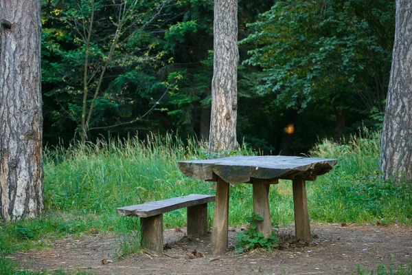 Πάγκο και τραπέζι από τον κορμό — Φωτογραφία Αρχείου