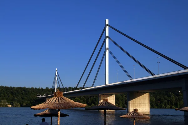 stock image Liberty Bridge in Novi Sad