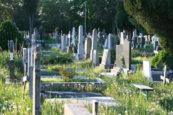 Antigo cemitério — Fotografia de Stock