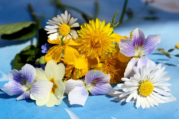 Flores de campo — Fotografia de Stock