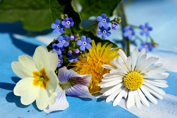 Területén virágok — Stock Fotó