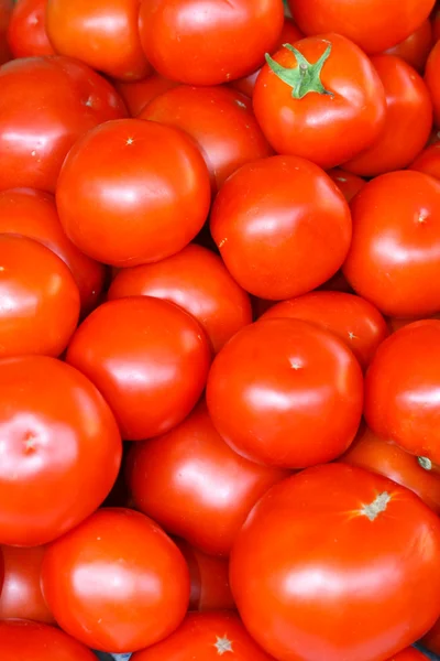 stock image Tomatoes