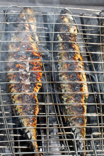 Makreel op de barbecue — Stockfoto