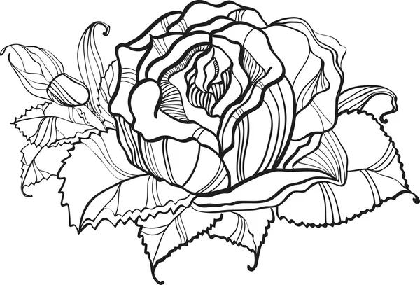 Belle rose encre — Image vectorielle