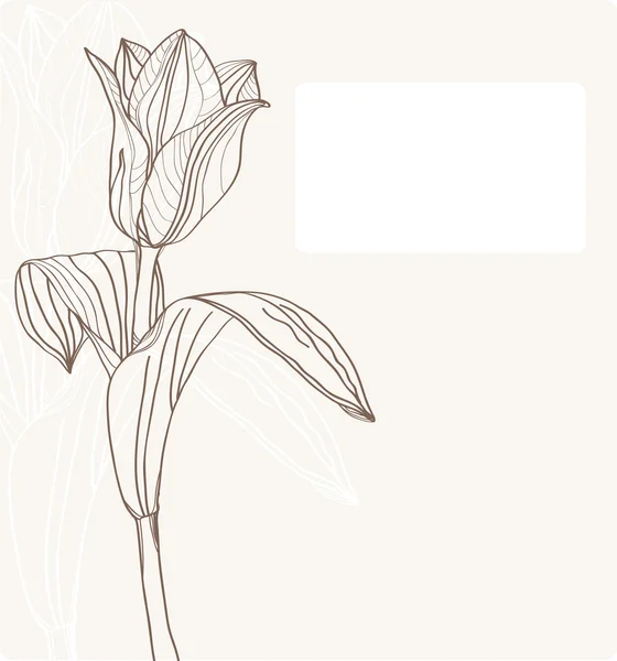 Cartão bonito com tulipa — Vetor de Stock