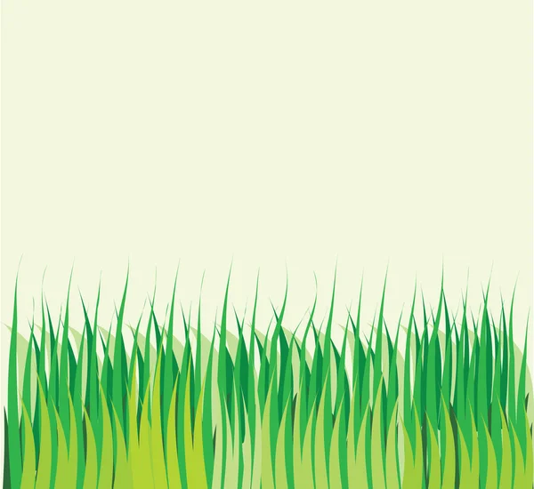 Fondo con hierba verde vector — Vector de stock