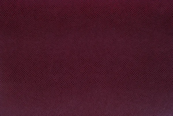 Bumpy Leather Surface — Stock Photo, Image