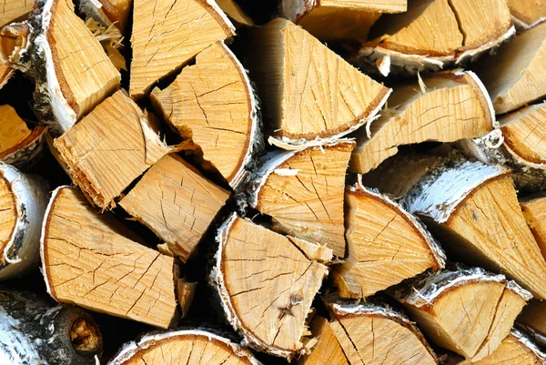 Cracked Logs — Stock Photo, Image