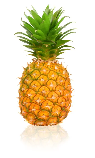 Ripen Pineapple — Stock Photo, Image