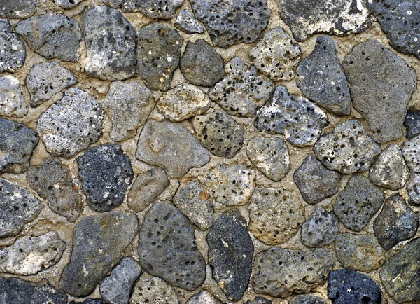 Régi tengeri kagyló sziklák — Stock Fotó