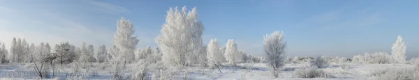 Panorama musim dingin — Stok Foto