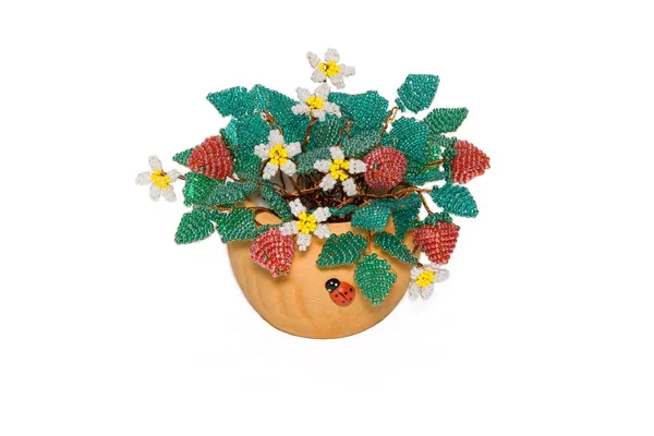 Flowering strawberry from a bead — Stock Photo, Image