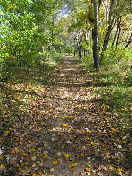 stock image Autumn footpath