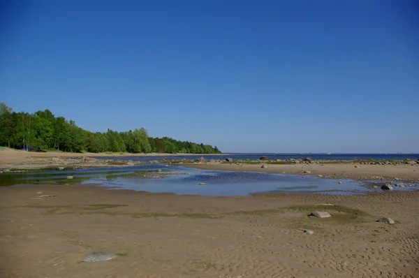 Plaży zatoki fińskiej — Zdjęcie stockowe
