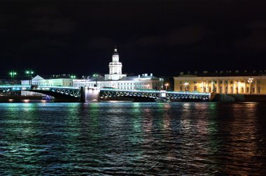 Saint-Petersburg in the night clipart