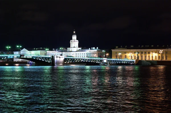 Saint-Petersburg in the night Stock Image