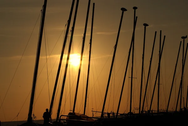 stock image Sunset in Brighton