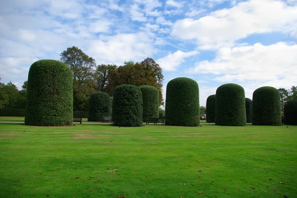 Tvarované keře v kensington gardens, Londýn, Velká Británie — Stock fotografie