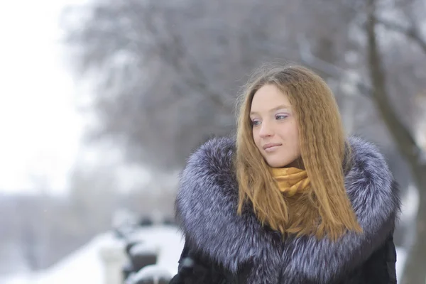 Hermosa chica en el parque de invierno — Foto de Stock