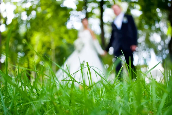 Silhuetter av nygifta — Stockfoto