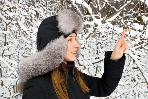 Vacker flicka i en winter woods — Stockfoto
