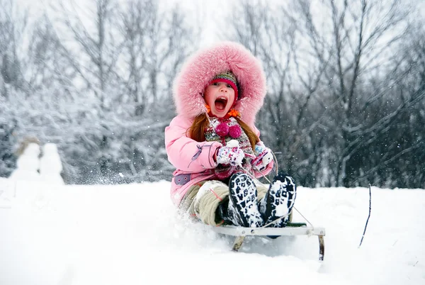 Buon divertimento invernale ! — Foto Stock