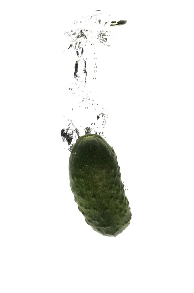 Komkommer in het water — Stockfoto