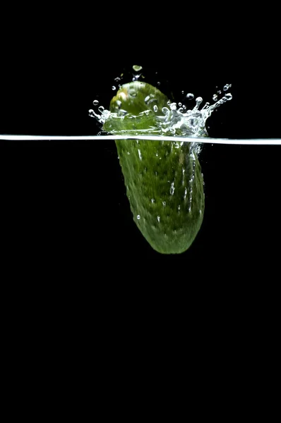 Okurka ve vodě na černém makru — Stock fotografie