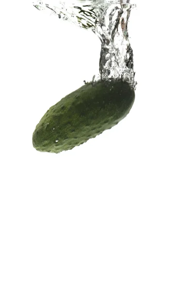 Cucumber in water on white — Stock Photo, Image