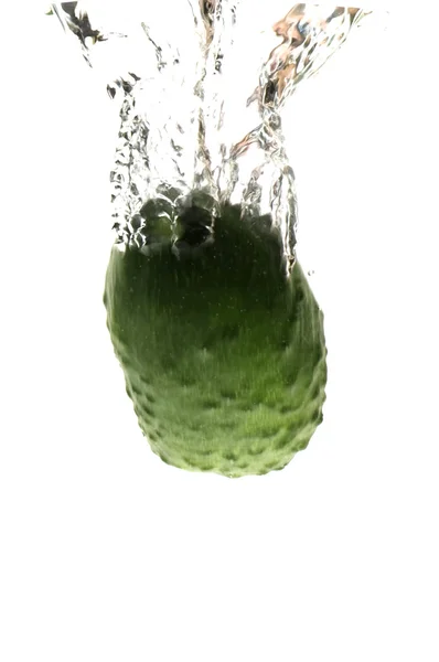 Pepino em closeup de água em branco — Fotografia de Stock