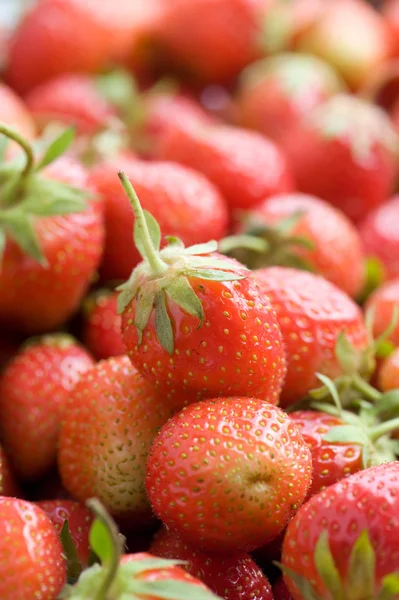 प्रौढ लाल स्ट्रॉबेरीज — स्टॉक फोटो, इमेज