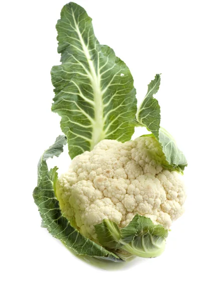 Cauliflower on white — Stock Photo, Image