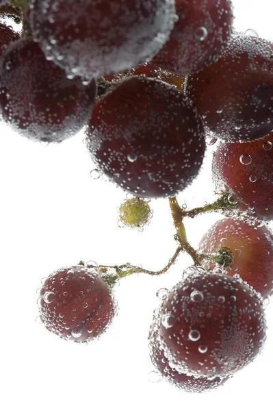 Druiven met bubbels — Stockfoto