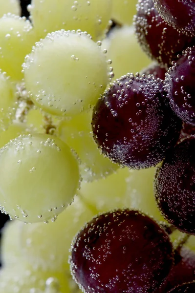 Raisins avec bulles d'air gros plan — Photo