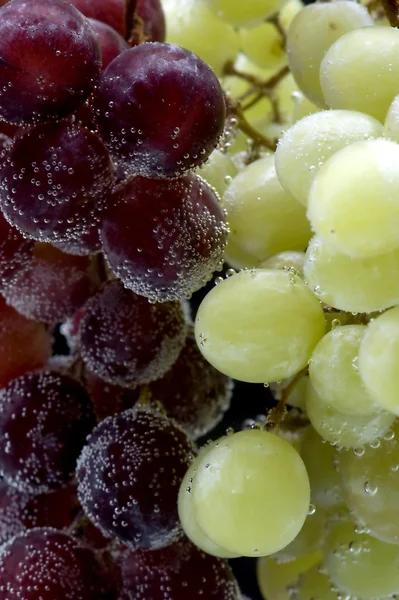 Winogrona na zbliżenie czarny — Zdjęcie stockowe