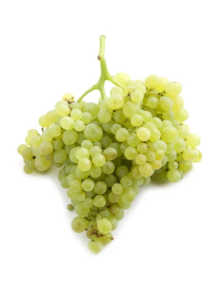 Uvas — Foto de Stock