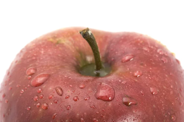 Свежий красный яблочный макро — стоковое фото