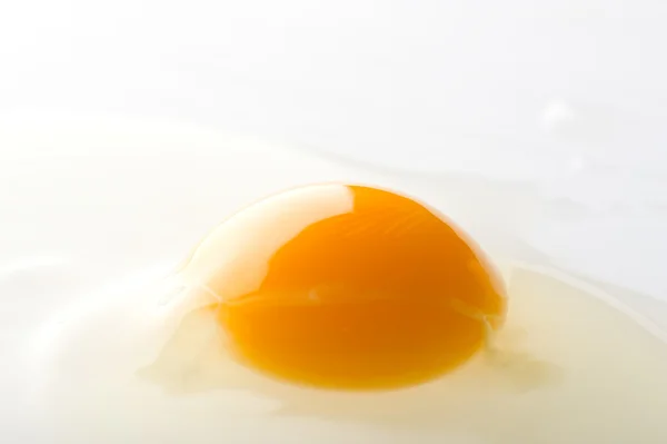 Fried eggs macro — Stock Photo, Image