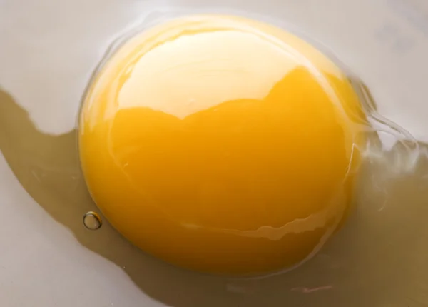 卵焼き — ストック写真