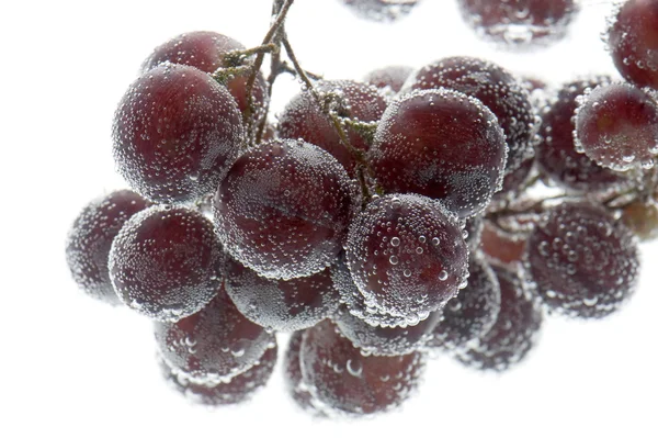 Raisins rouges dans l'eau close up — Photo