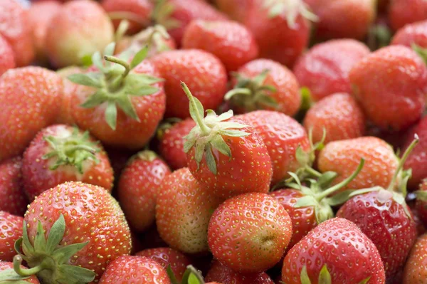 परिपक्व स्ट्रॉबेरीज बंद — स्टॉक फोटो, इमेज