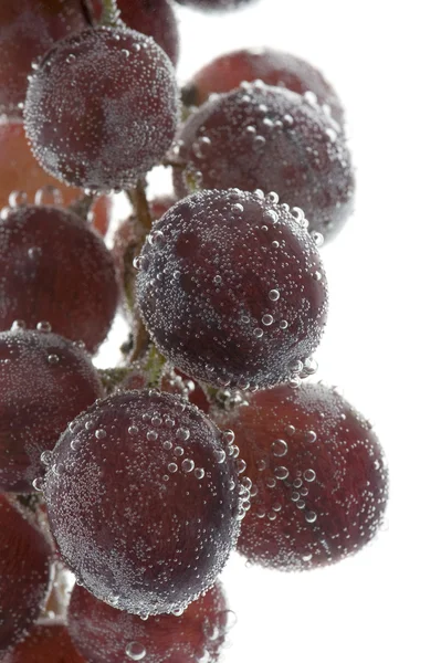 Red grapes on white — Stockfoto