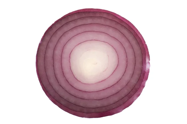 Red onion on white macro — Stock Photo, Image