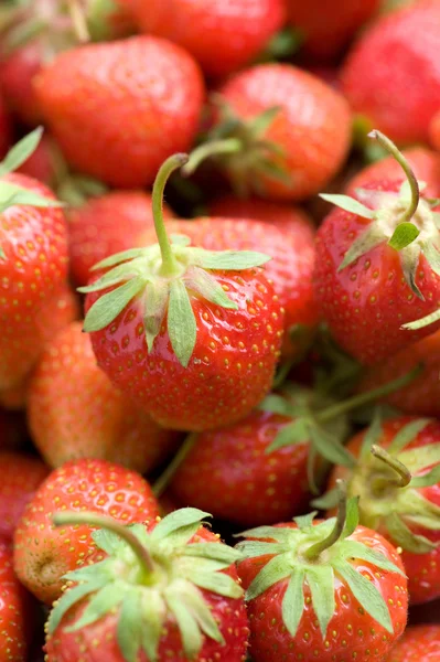 पिकलेले स्ट्रॉबेरीज — स्टॉक फोटो, इमेज