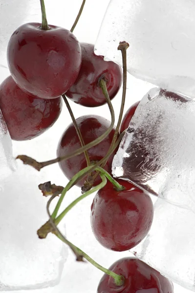 在冰上的樱桃 — 图库照片