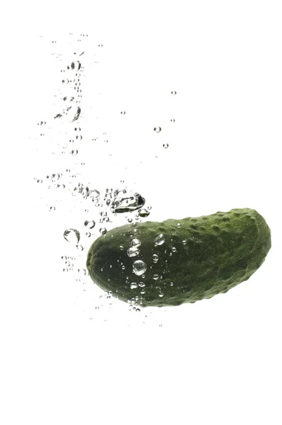 Komkommer in water op witte achtergrond — Stockfoto